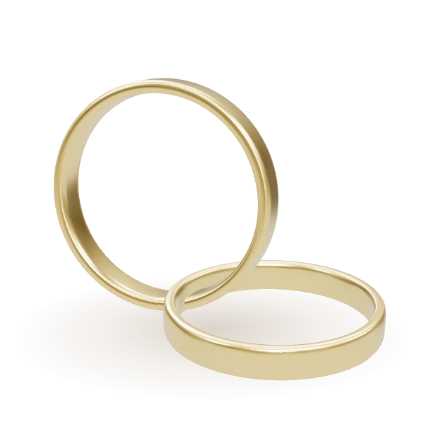 3D render of two polished yellow-gold band rings
