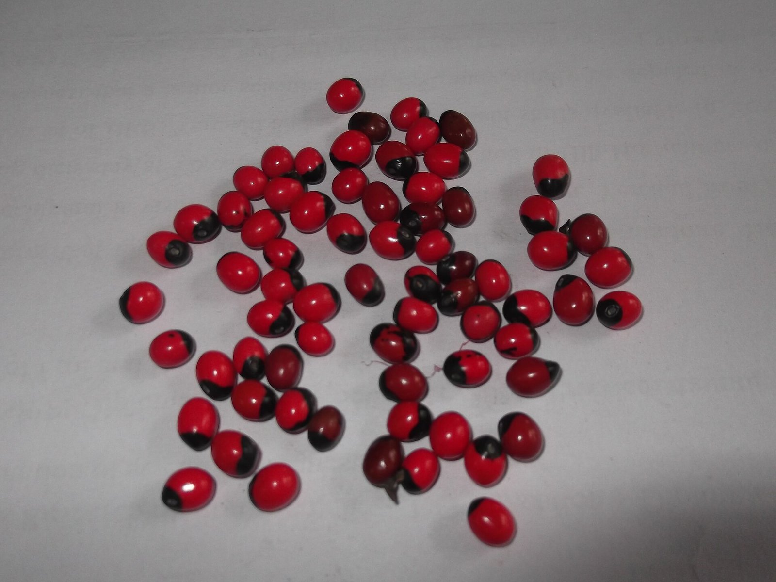 Gemstone prices per carat and ratti in India: how quotes work and how to compare them