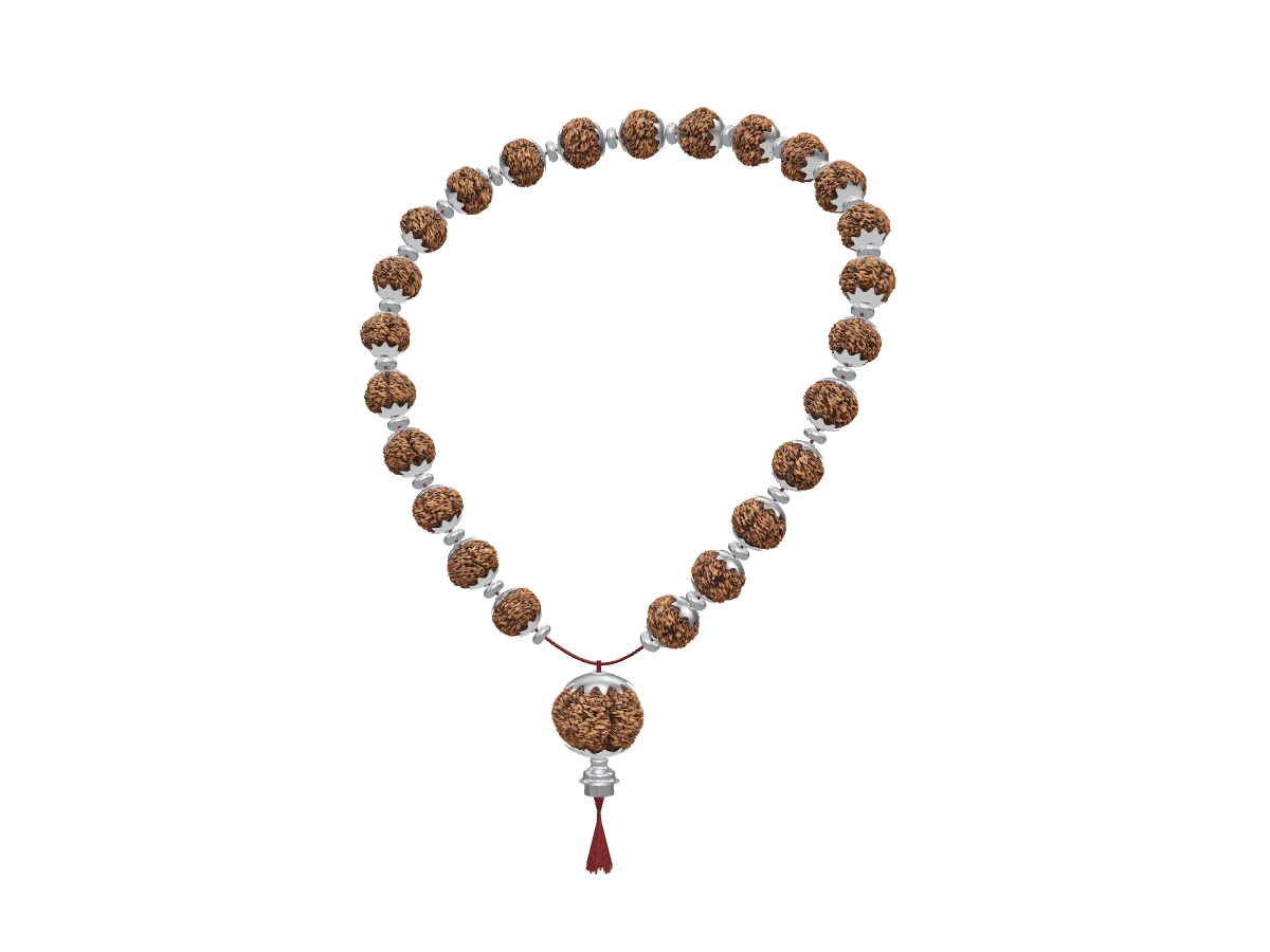 Real or fake rudraksha? Common fakes, popular myths and the checks that actually work