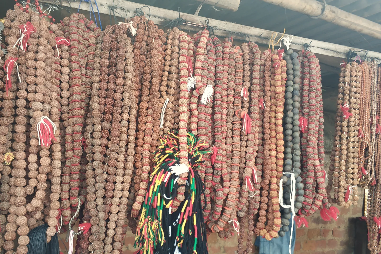 Rudraksha sellers in India: testing and customisation compared