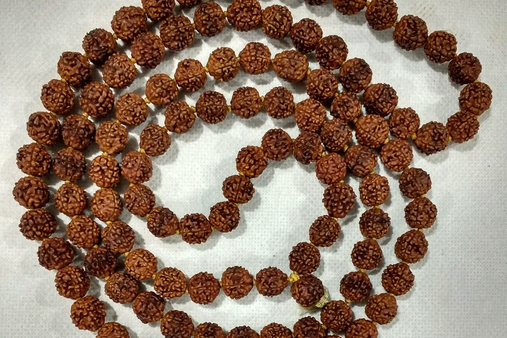 A 108-bead five mukhi rudraksha mala laid out in loops on a pale cloth